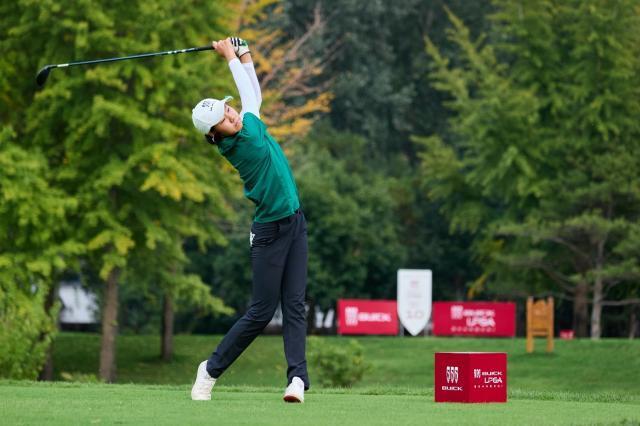 奖杯, 个四杆洞抓 奖杯, 个四杆洞抓