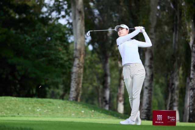 及趣味性, 上海旗忠花 及趣味性, 上海旗忠花