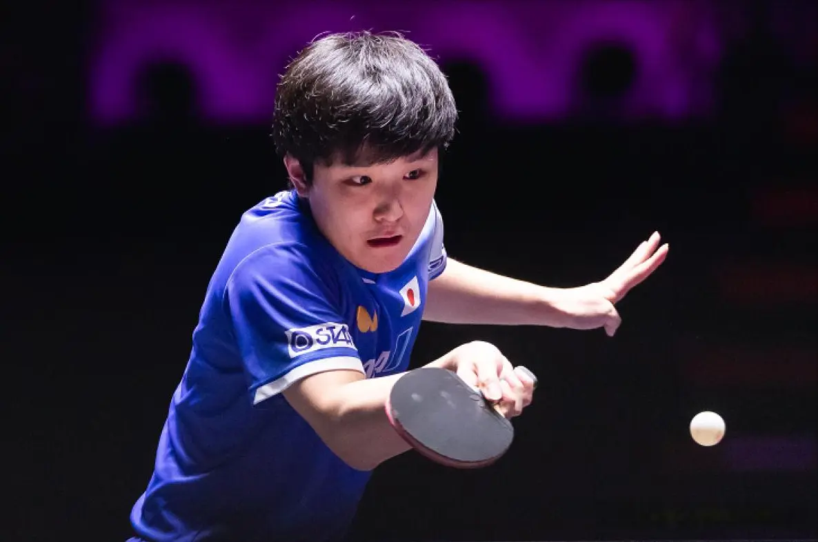 img, 了张本智和