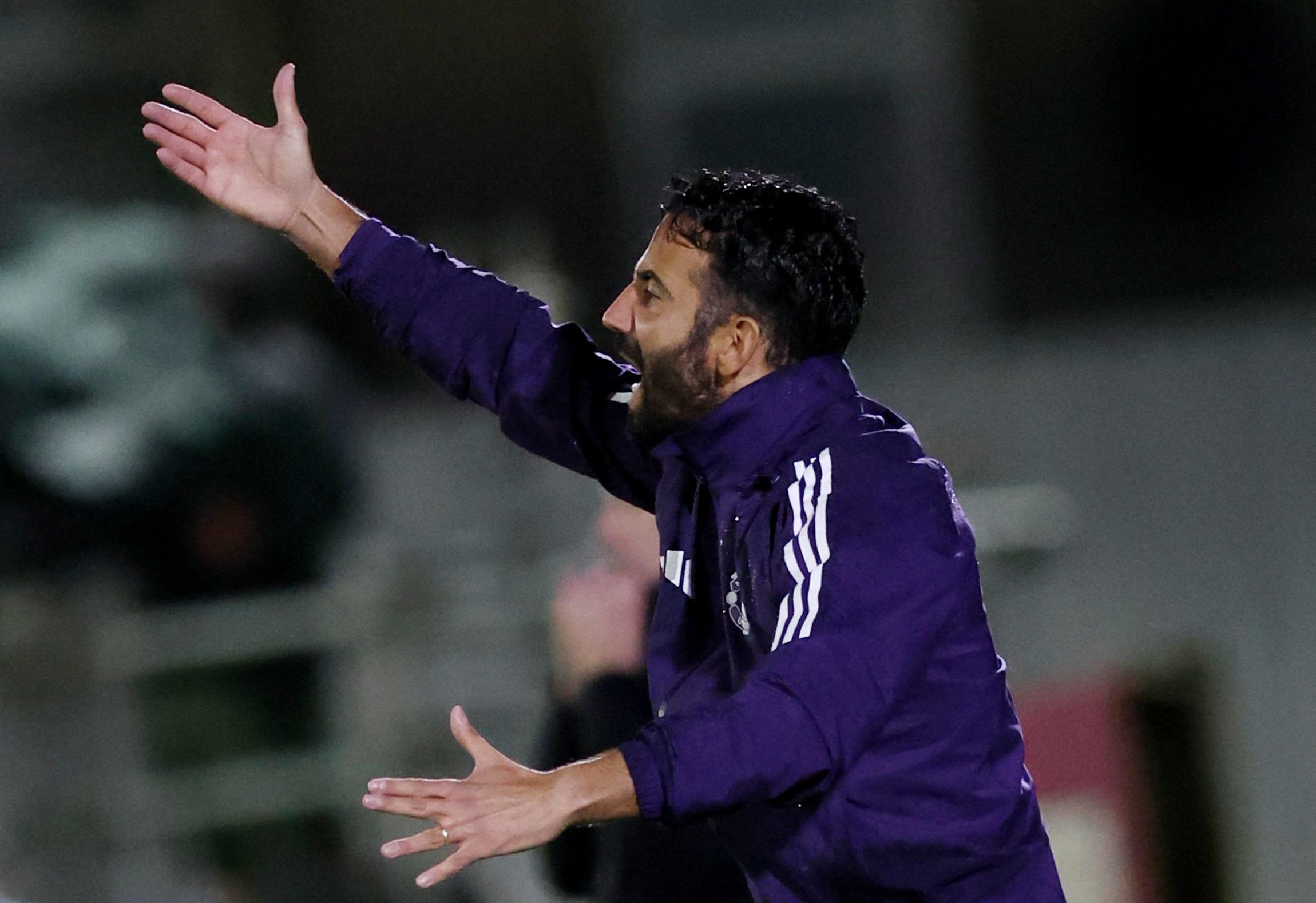 我们本可以 我们本可以