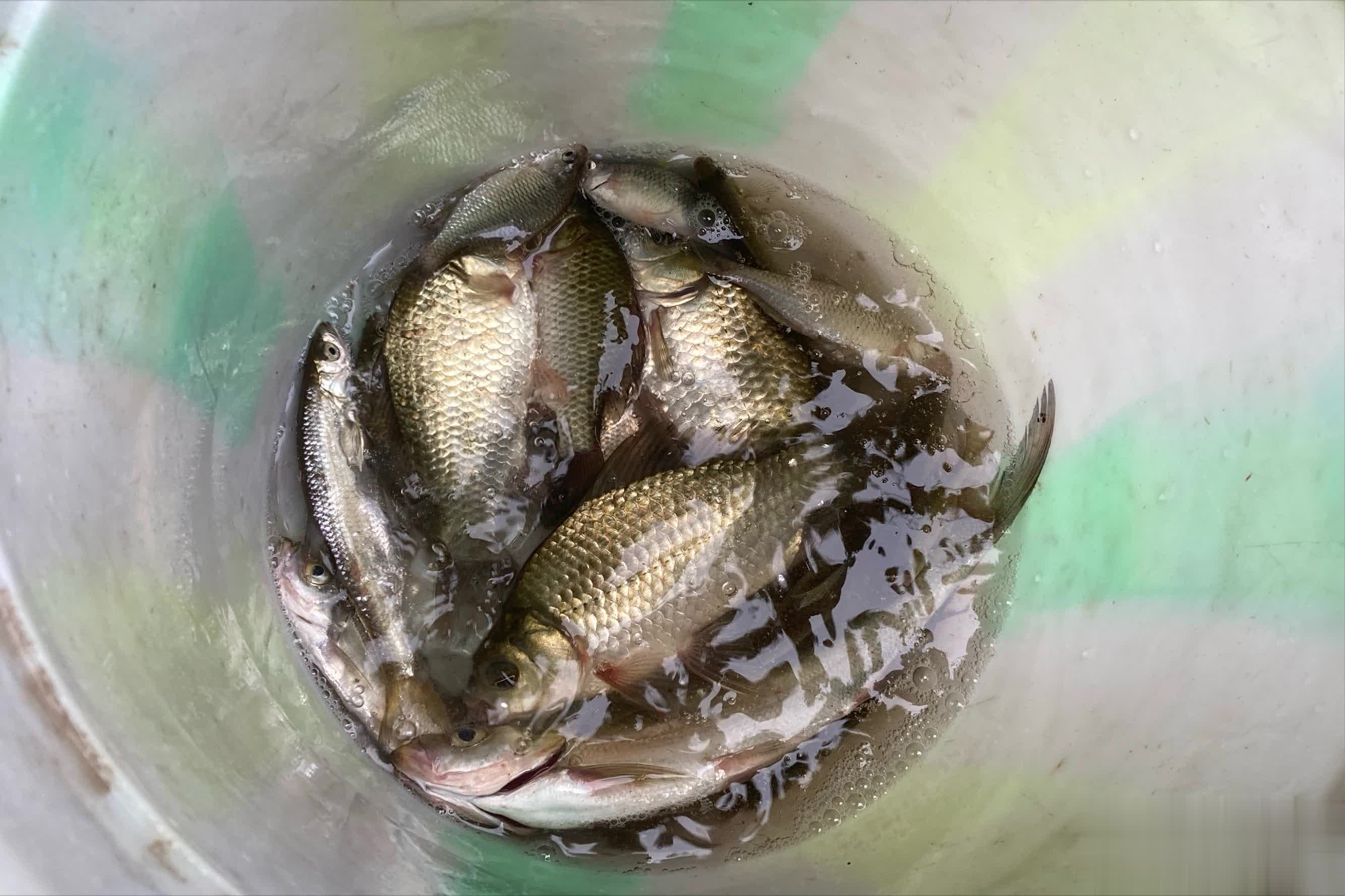 钓的钝一些 钓的钝一些