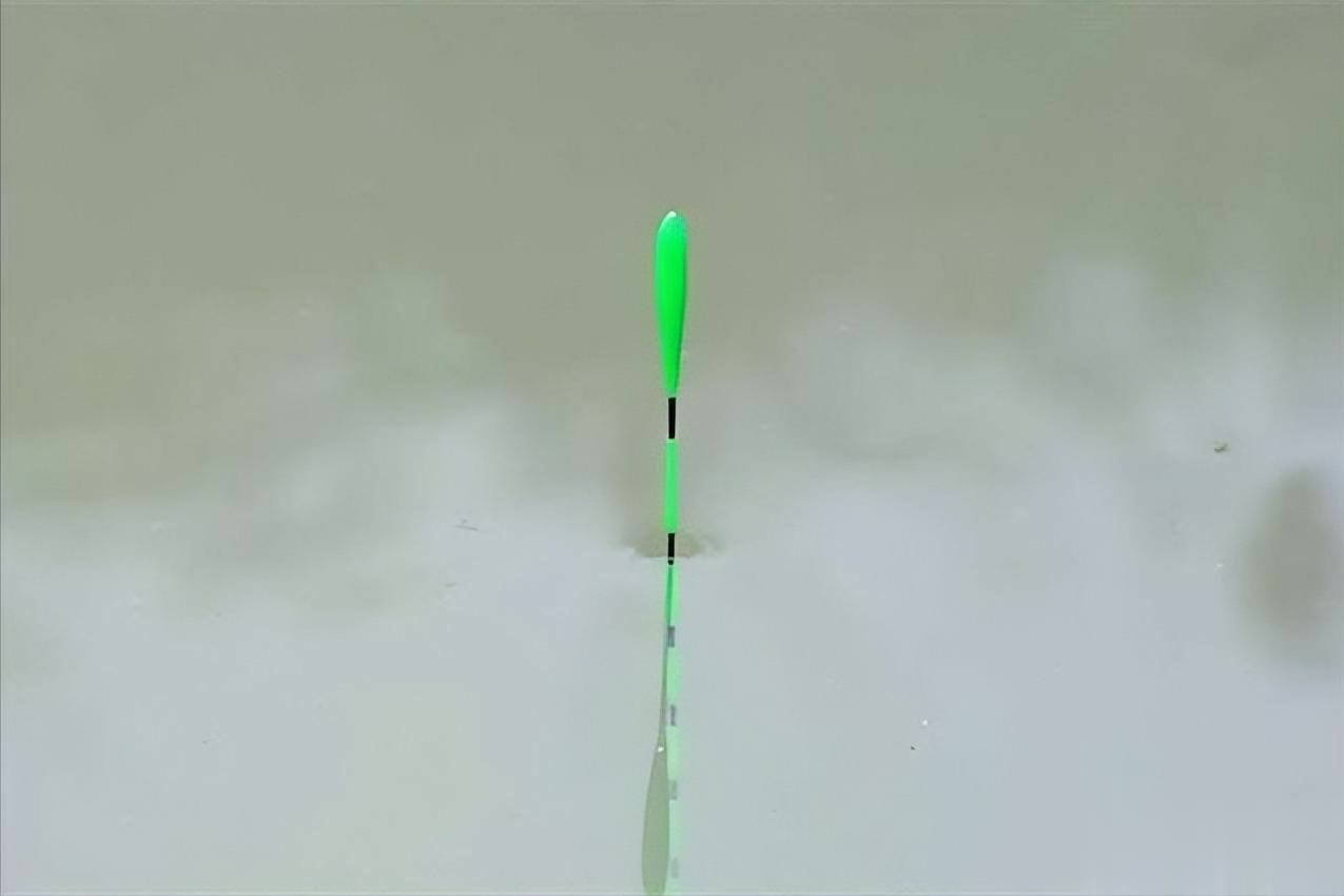 金法则, amp 金法则, amp